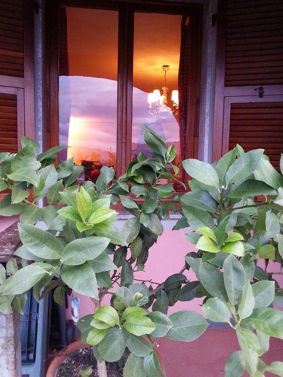 Gli Aceri B&B อาร์โคลา ภายนอก รูปภาพ